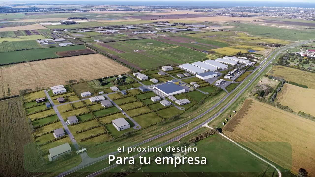 Polo 226 360° tour